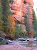 PICTURES/Sedona West Fork Trail  - Again/t_Oak Creek13.jpg